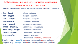 Интенсивный курс по подготовке к ЕГЭ по русскому языку, слайд 12
