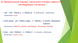 Интенсивный курс по подготовке к ЕГЭ по русскому языку, слайд 13