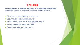 Интенсивный курс по подготовке к ЕГЭ по русскому языку, слайд 15