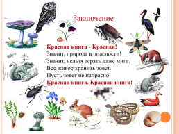 Красная книга южного Урала, слайд 10