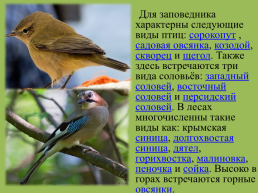 Крымский природный заповедник, слайд 15