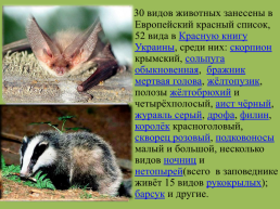 Крымский природный заповедник, слайд 16