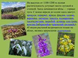 Крымский природный заповедник, слайд 7