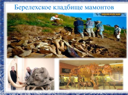 Республика Саха -Якутия, мой край родной!, слайд 18