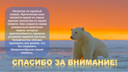 Краснокнижные животные Арктики, слайд 8