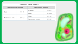 Химический состав клетки, слайд 5