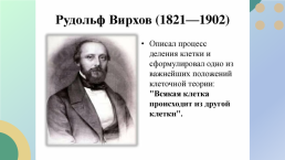 Какие процессы жизнедеятельности вам известны?, слайд 14