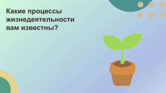 Какие процессы жизнедеятельности вам известны?