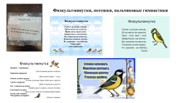 Кейс «Зимующие птицы», слайд 8