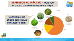 Растениеводство и животноводство: география основных отраслей, слайд 6