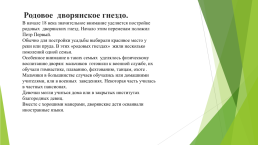 Дворянские усадьбы россии в 18-19 веках, слайд 6