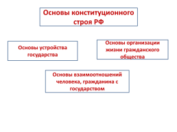 Основы конституционного строя, слайд 5