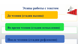 Формирование функциональной читательской грамотности на уроках русского языка и литературы, слайд 10