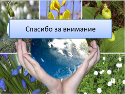 Как провести «Креатив-бой»?, слайд 12