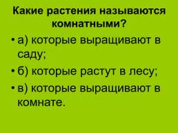 Комнатные растения 2, слайд 14