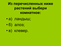 Комнатные растения 2, слайд 15