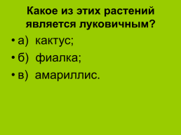 Комнатные растения 2, слайд 16