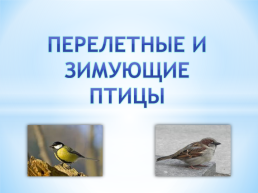 Перелетные и зимующие птицы, слайд 1