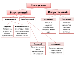 Свертывание крови, слайд 10