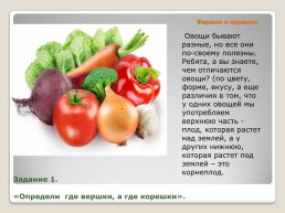 Овощи и их польза, слайд 9
