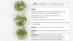 Микрозелень – экологическое будущее России, слайд 3