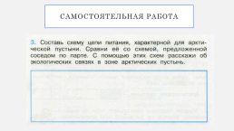 Урок по теме: «Зона арктических пустынь», слайд 10