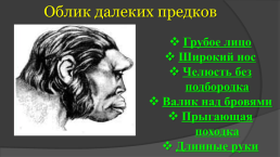ИсториЯ древнего мира «Древнейшие люди», слайд 8