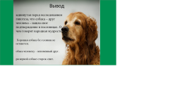 Собака -верный друг человека_ старшая группа, слайд 19