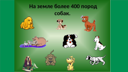 Собака -верный друг человека_ старшая группа, слайд 6