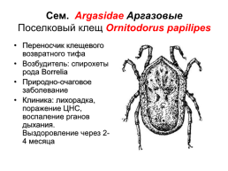 Медицинская гельминтология и арахноэнтомология, слайд 48