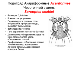 Медицинская гельминтология и арахноэнтомология, слайд 49