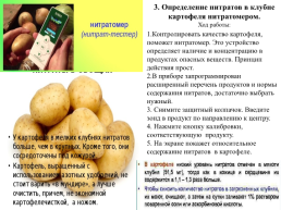 Мастер класс: «Оценка качества клубней различных сортов картофеля», слайд 9