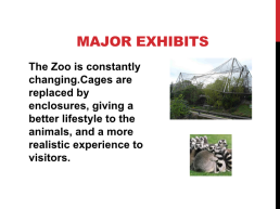 London zoo, слайд 5
