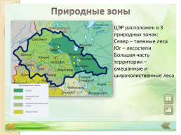 Население и хозяйство Центральной России, слайд 13