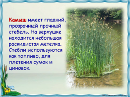 Вспомни!. На какие группы делятся водоёмы по происхождению?, слайд 10