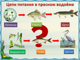 Вспомни!. На какие группы делятся водоёмы по происхождению?, слайд 25