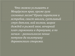 К.Г.Паустовский. «Обыкновенная земля», слайд 20