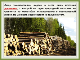 Лесное хозяйство и лесозаготовка, его структура, слайд 12
