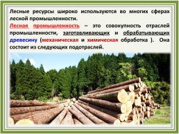 Лесное хозяйство и лесозаготовка, его структура, слайд 19