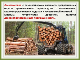 Лесное хозяйство и лесозаготовка, его структура, слайд 22