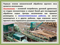 Лесное хозяйство и лесозаготовка, его структура, слайд 23
