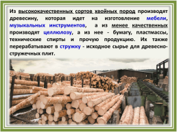 Лесное хозяйство и лесозаготовка, его структура, слайд 25