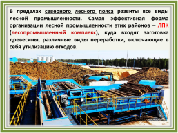 Лесное хозяйство и лесозаготовка, его структура, слайд 35