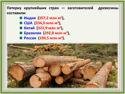 Лесное хозяйство и лесозаготовка, его структура, слайд 37
