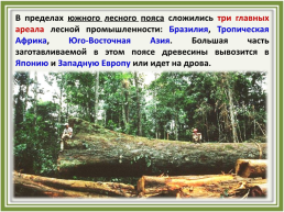 Лесное хозяйство и лесозаготовка, его структура, слайд 38
