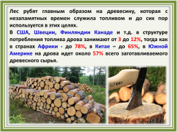 Лесное хозяйство и лесозаготовка, его структура, слайд 45