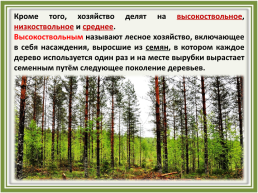 Лесное хозяйство и лесозаготовка, его структура, слайд 5