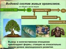Биосфера – глобальная экологическая система, слайд 10