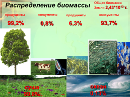 Биосфера – глобальная экологическая система, слайд 9