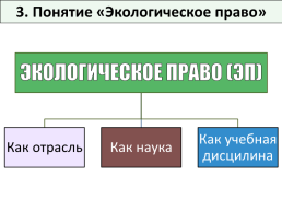 Экологическое право, слайд 12